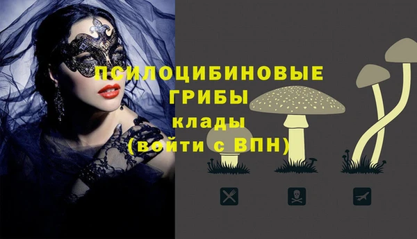 гашик Мегион