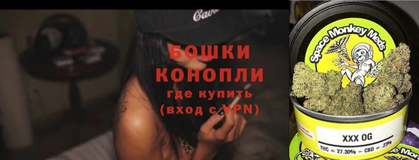 гашик Мегион