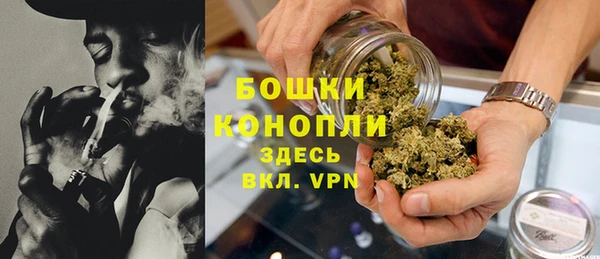 гашик Мегион