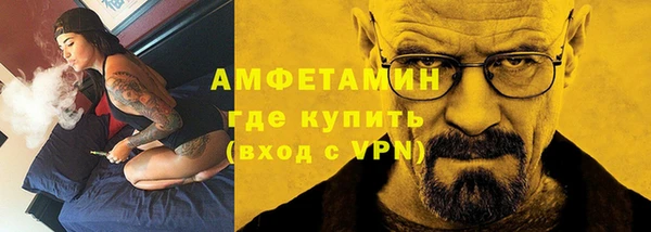 гашик Мегион