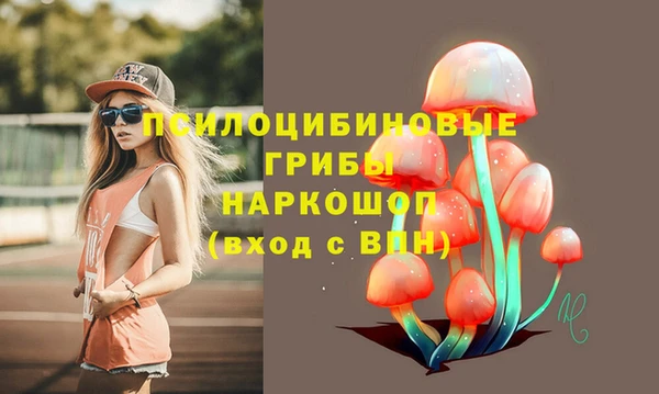 гашик Мегион